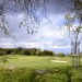 Carrickmines golf club